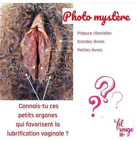 clitoris qui gratte|Pourquoi ma vulve me démange